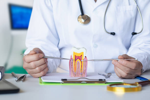 Best Weekend Emergency Dentist in Lexington, MO